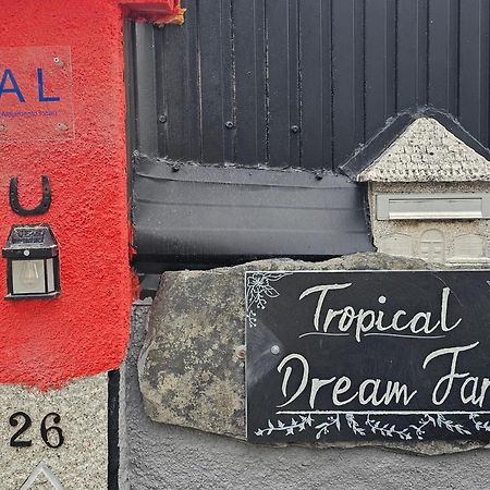 Hotel Tropical Dream Farm Vouzela Esterno foto